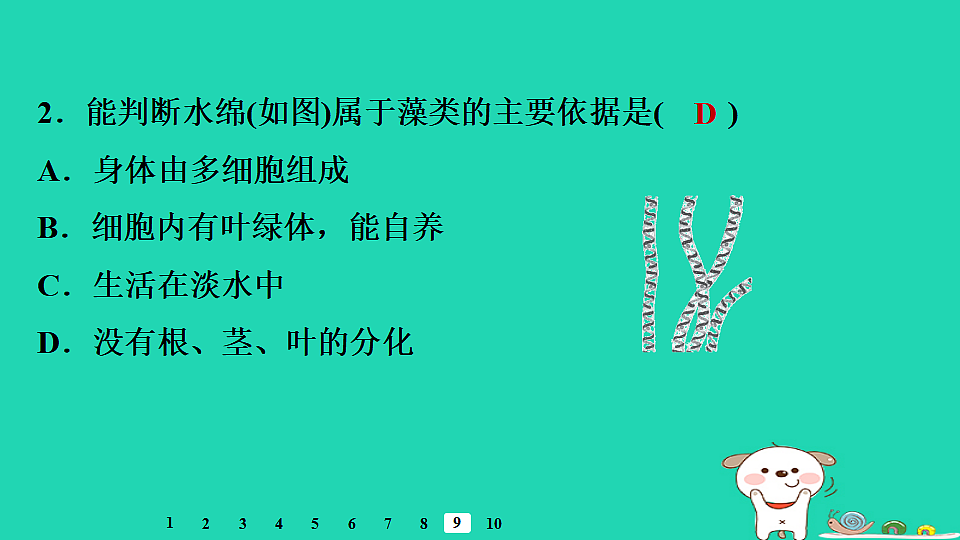 17795709第7页