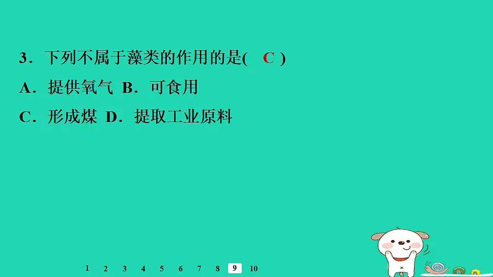 17795709第8页