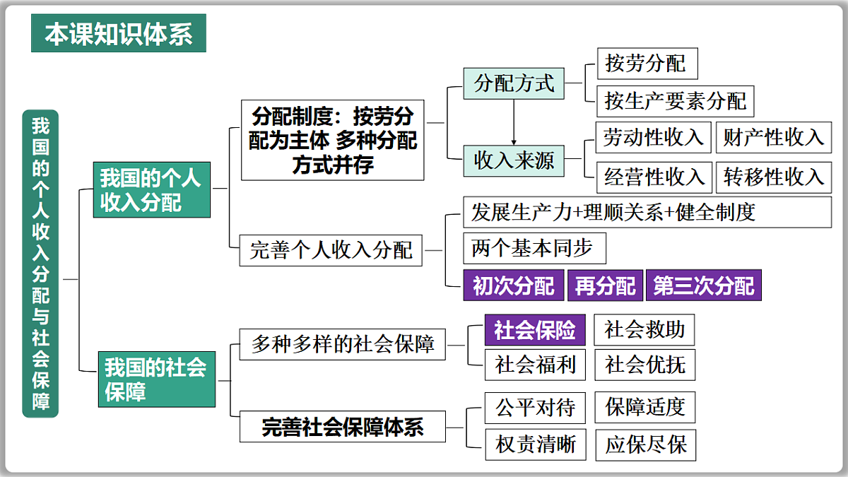 17795916第3页