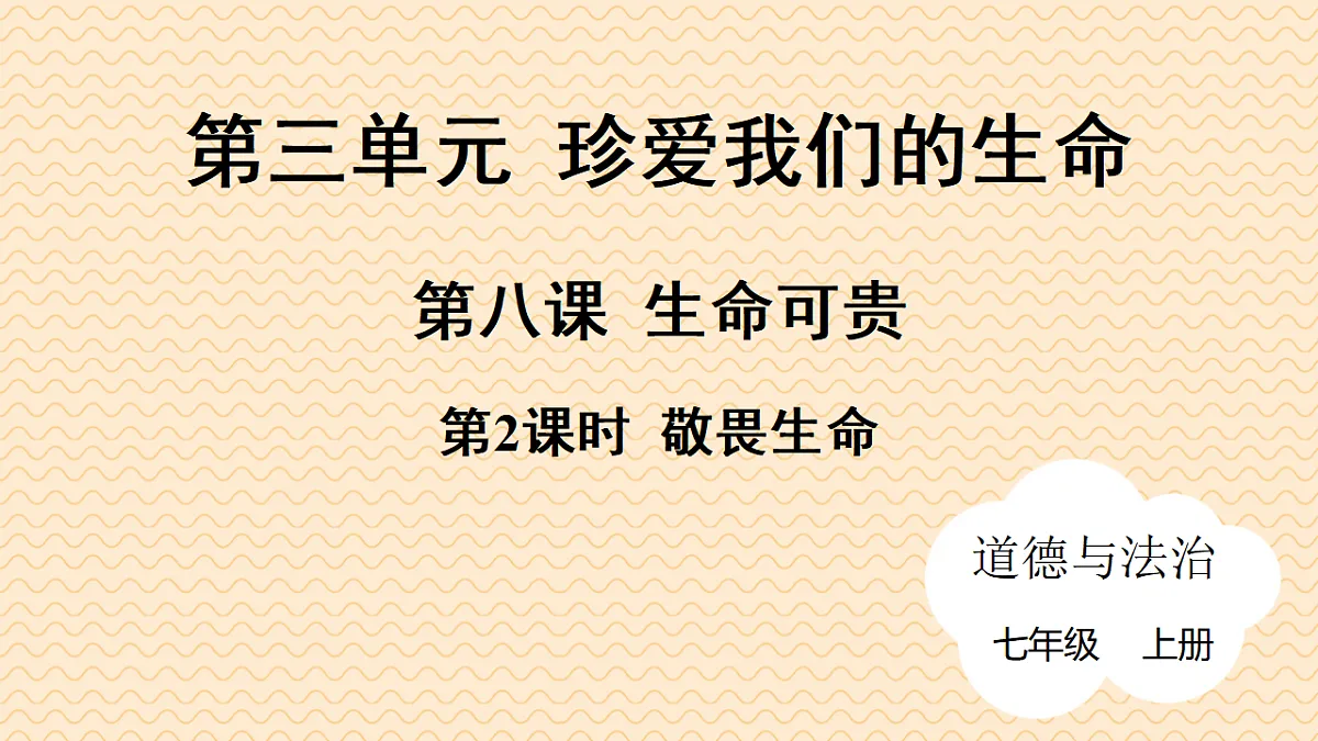 17795928第1页