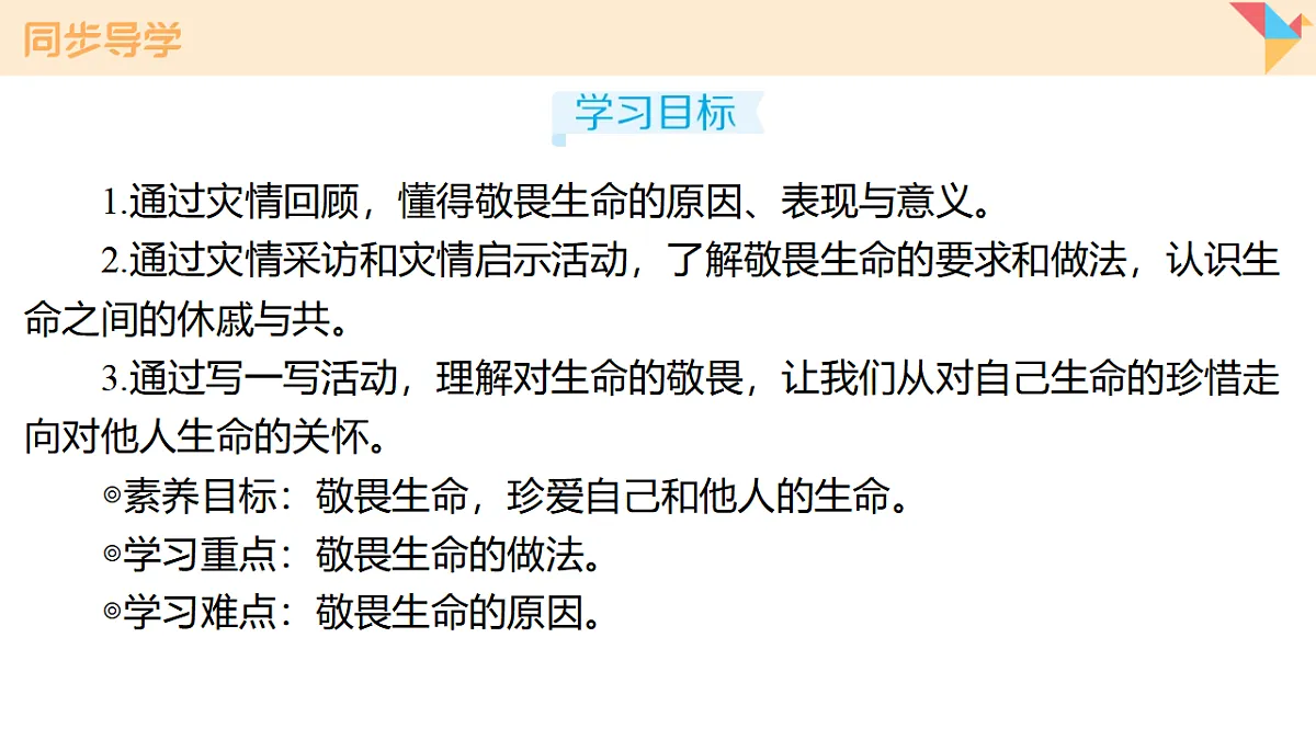 17795928第2页