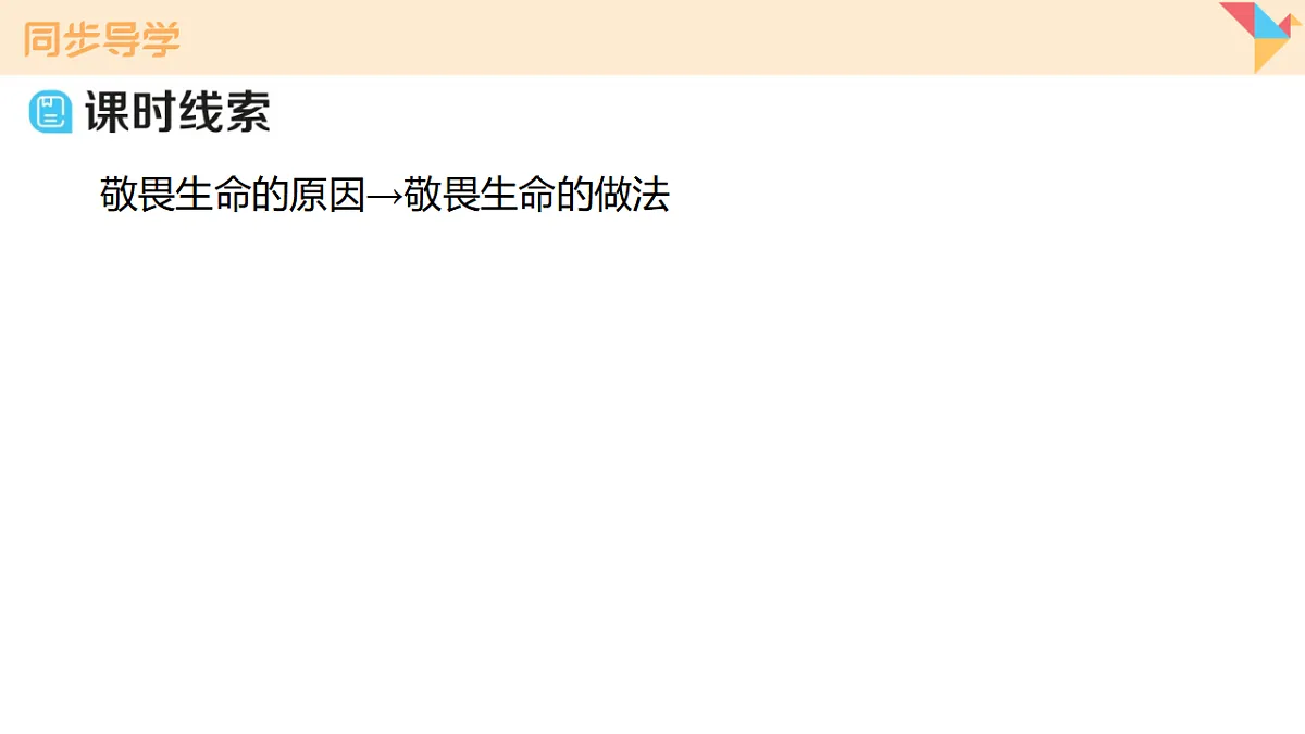 17795928第5页