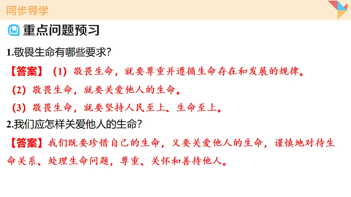 17795928第6页