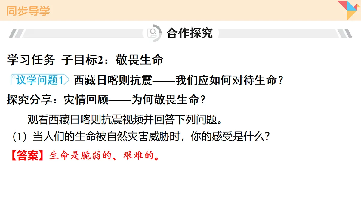 17795928第7页