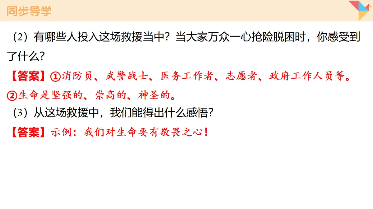 17795928第8页