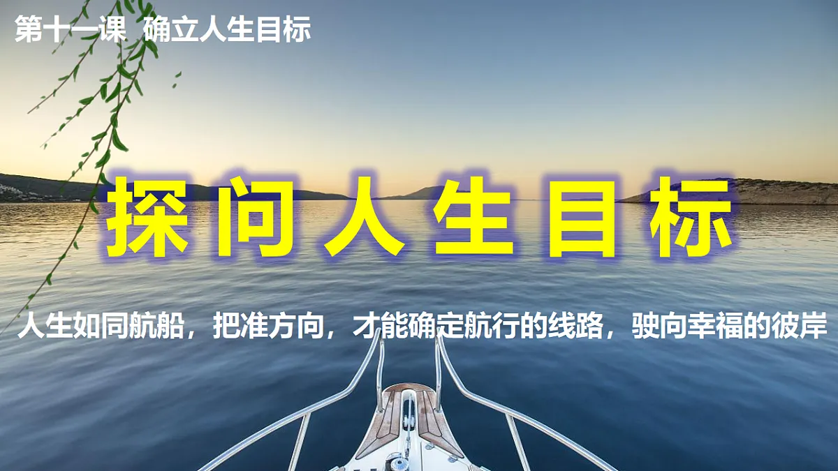 17795935第3页