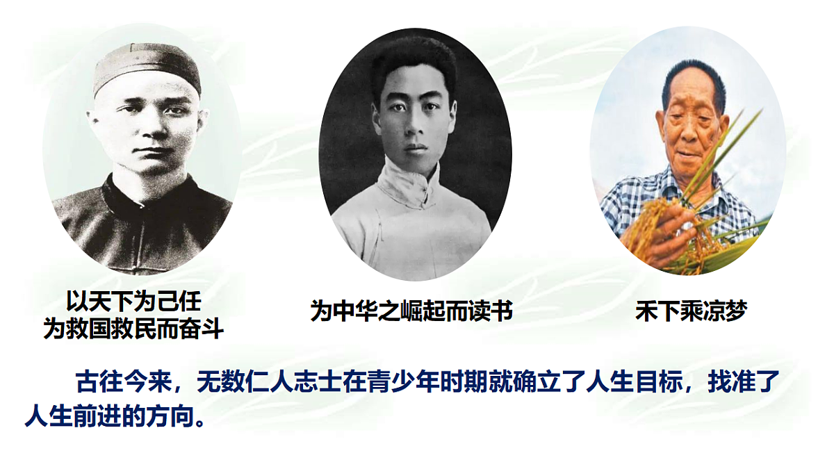 17795937第1页