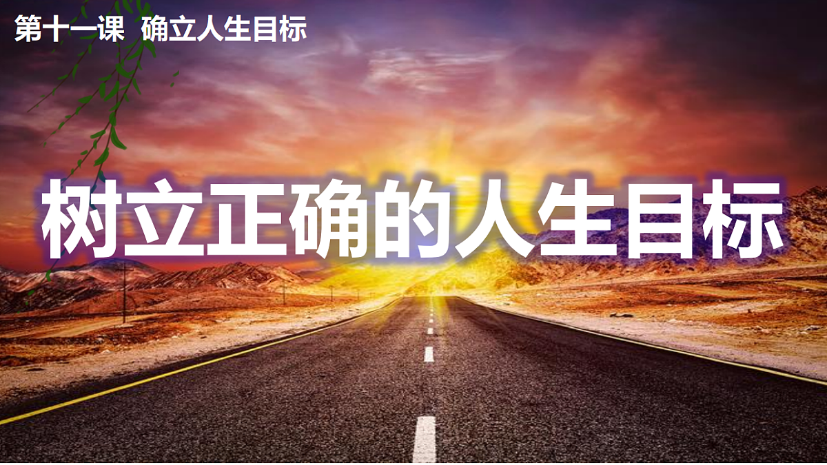 17795937第2页