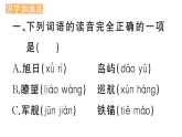 小学语文新部编版三年级下册 第六单元  语文园地  作业课件（2026春）（放映显示答案）