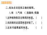 小学语文新部编版三年级下册 第六单元  语文园地  作业课件（2026春）（放映显示答案）