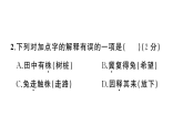 小学语文新部编版三年级下册 第二单元综合训练课件（2026春）（放映显示答案）