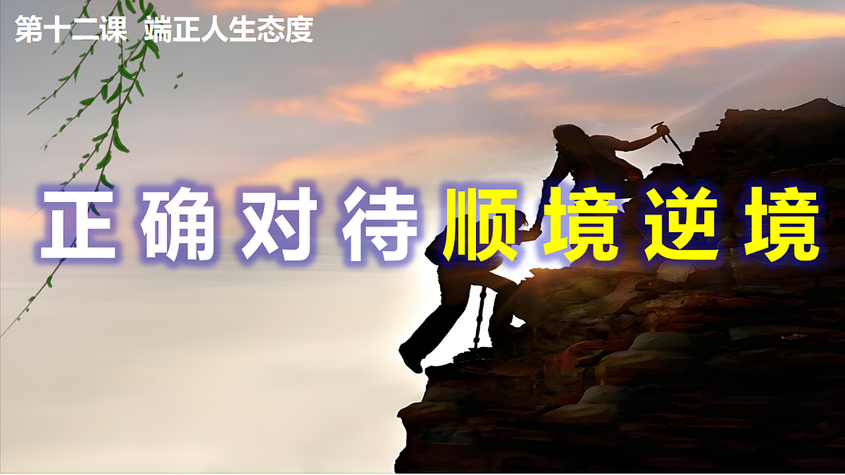 17795998第2页
