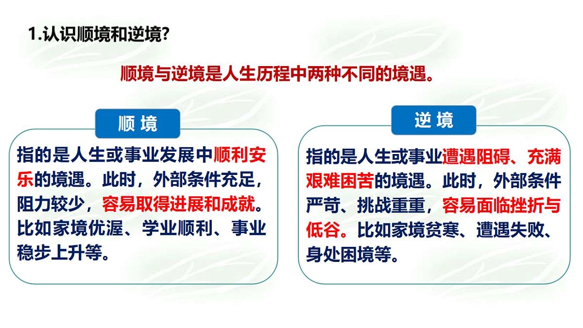 17795998第4页