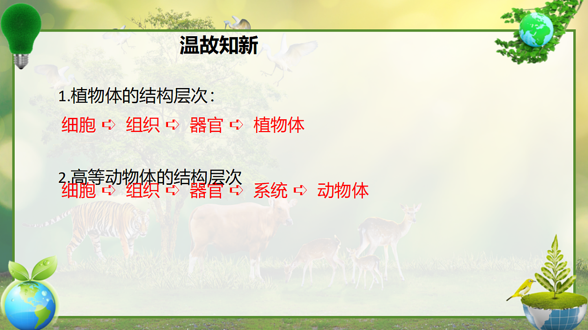17797584第1页
