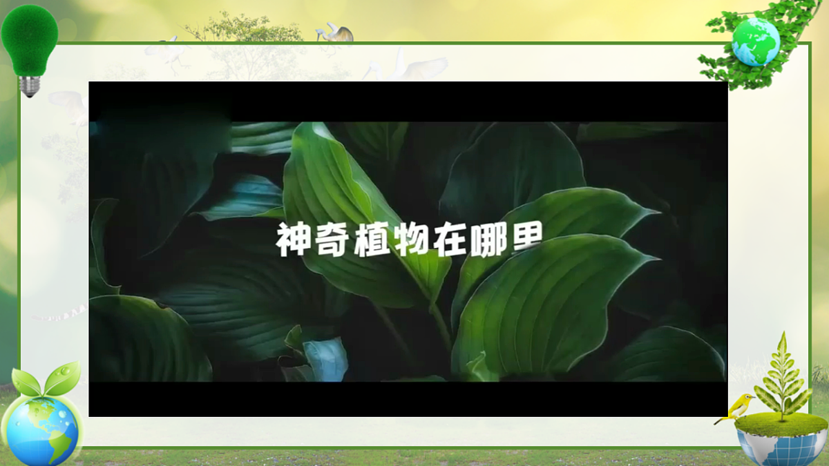17797584第2页