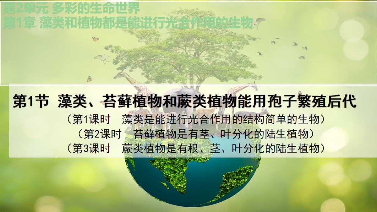 17797584第3页