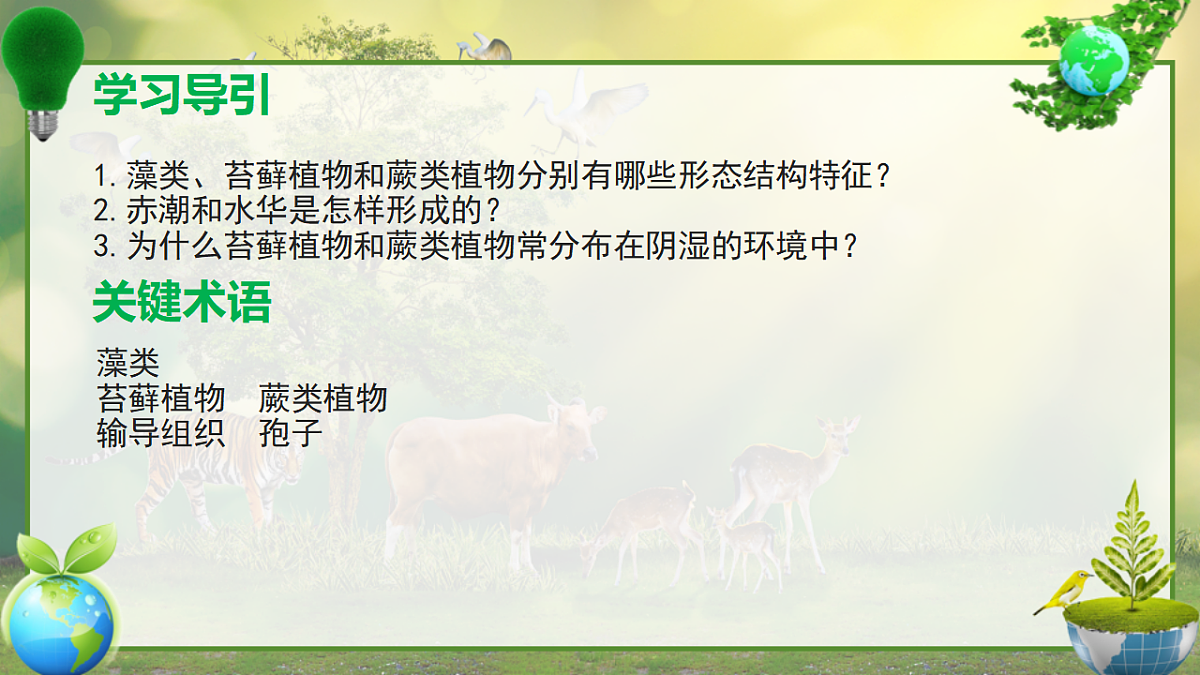 17797584第4页