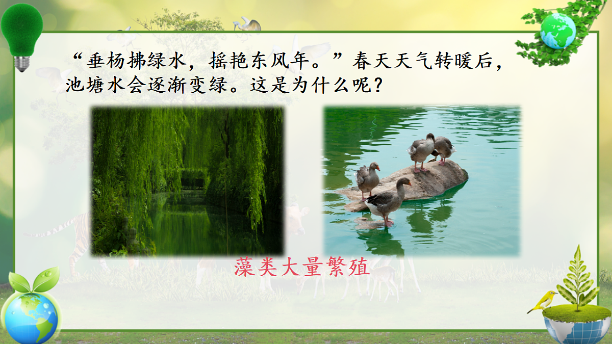 17797584第6页
