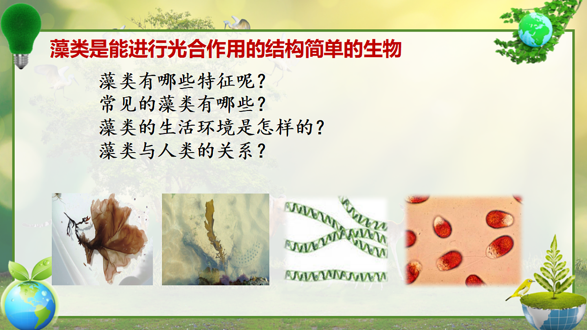 17797584第7页