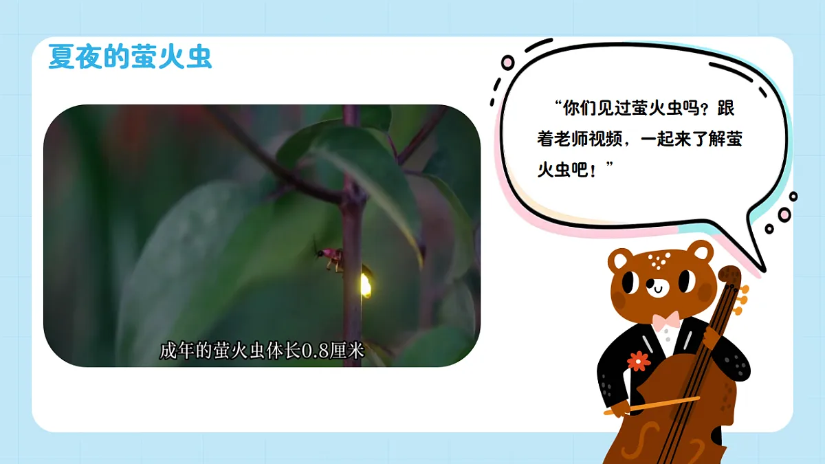 【接力版】音乐一年级下册 第二单元《萤火虫》 课件第5页