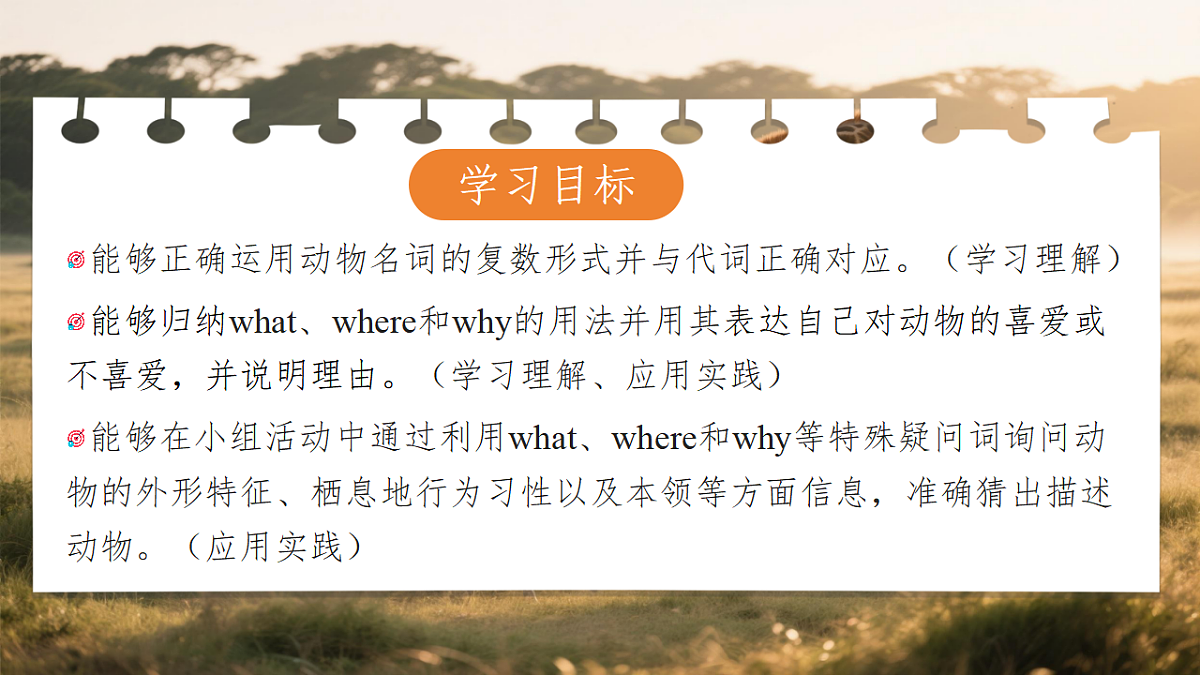 17798405第2页