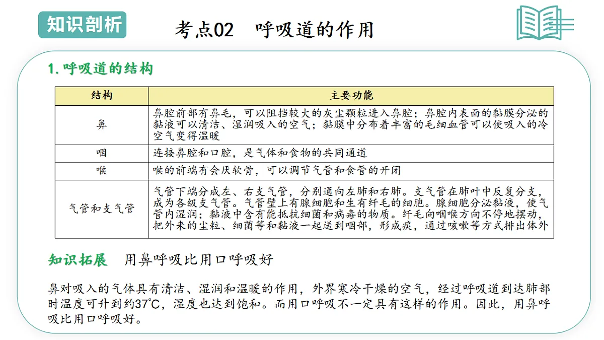 17798407第4页