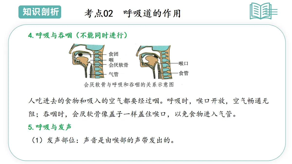 17798407第6页