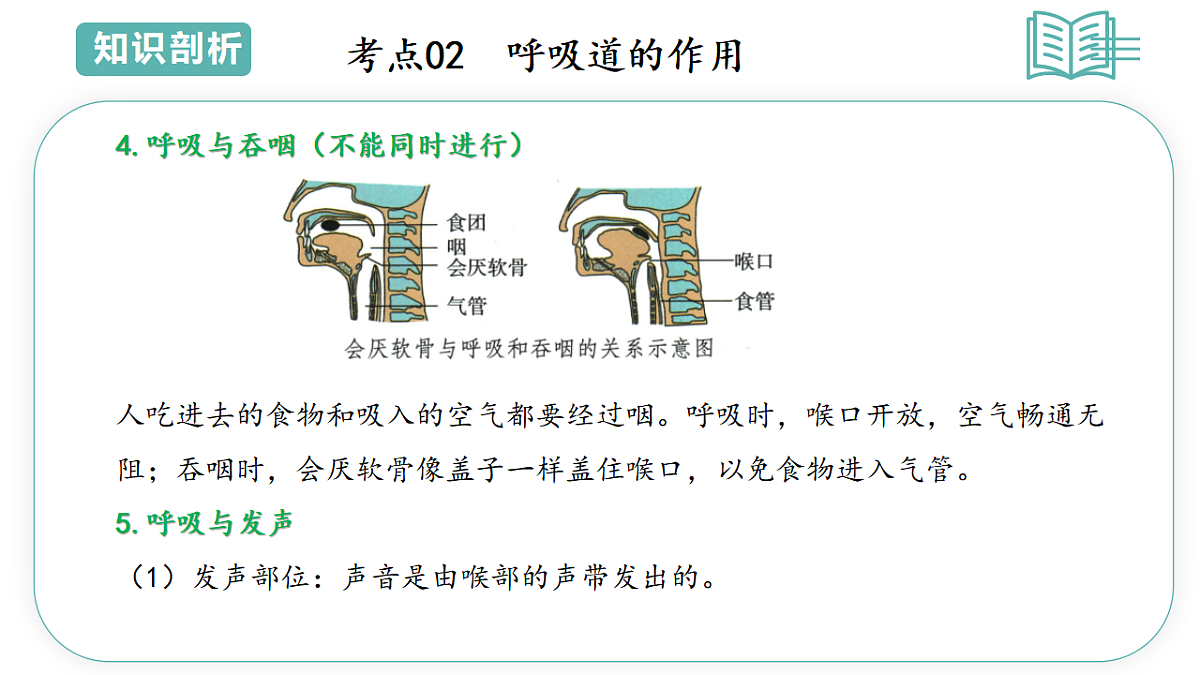 17798407第6页