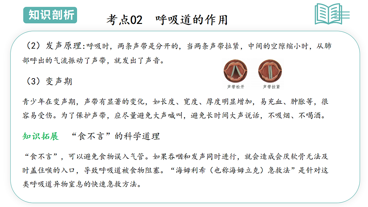 17798407第7页