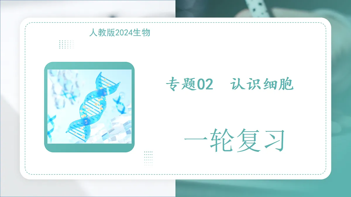 17798493第1页