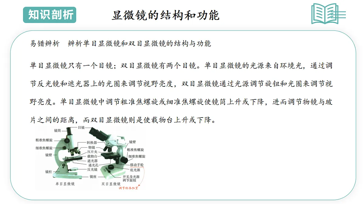 17798493第3页