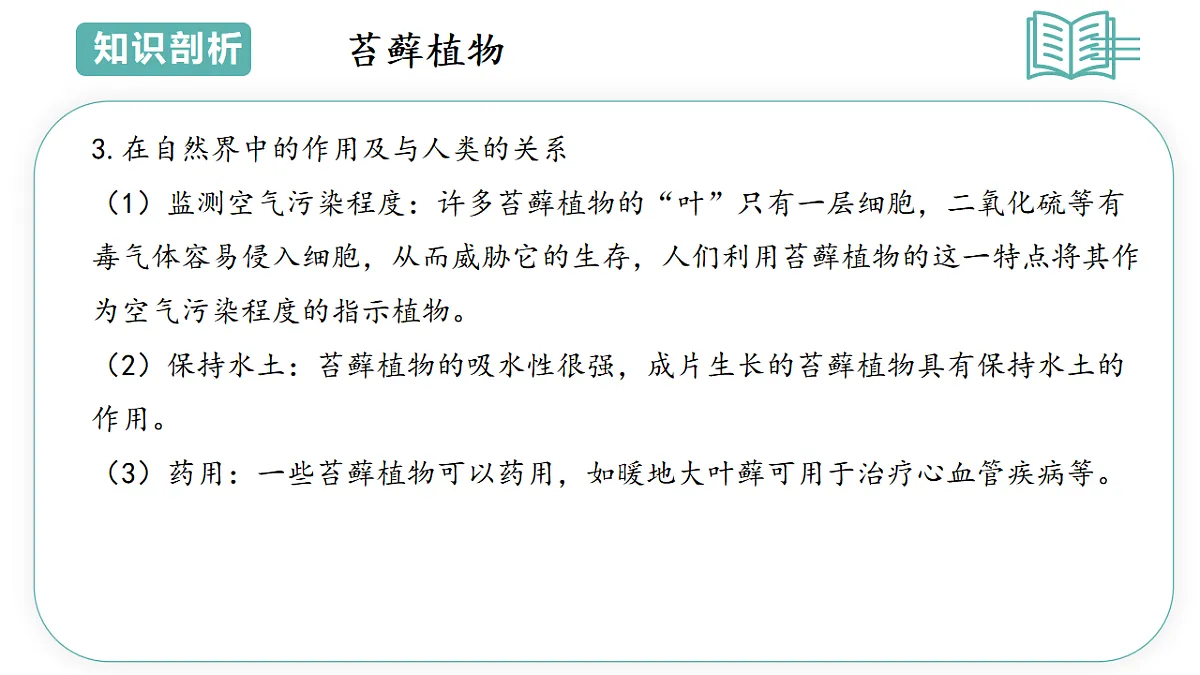 17798494第6页