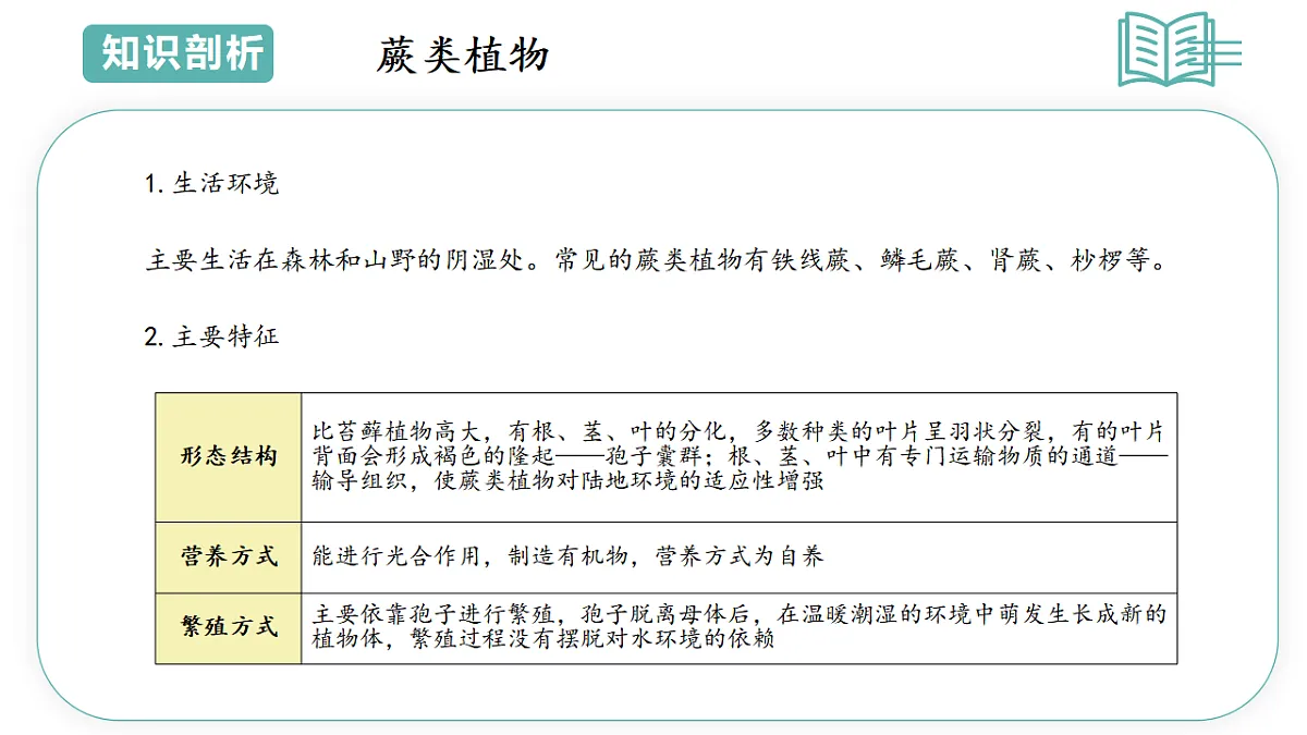 17798494第7页