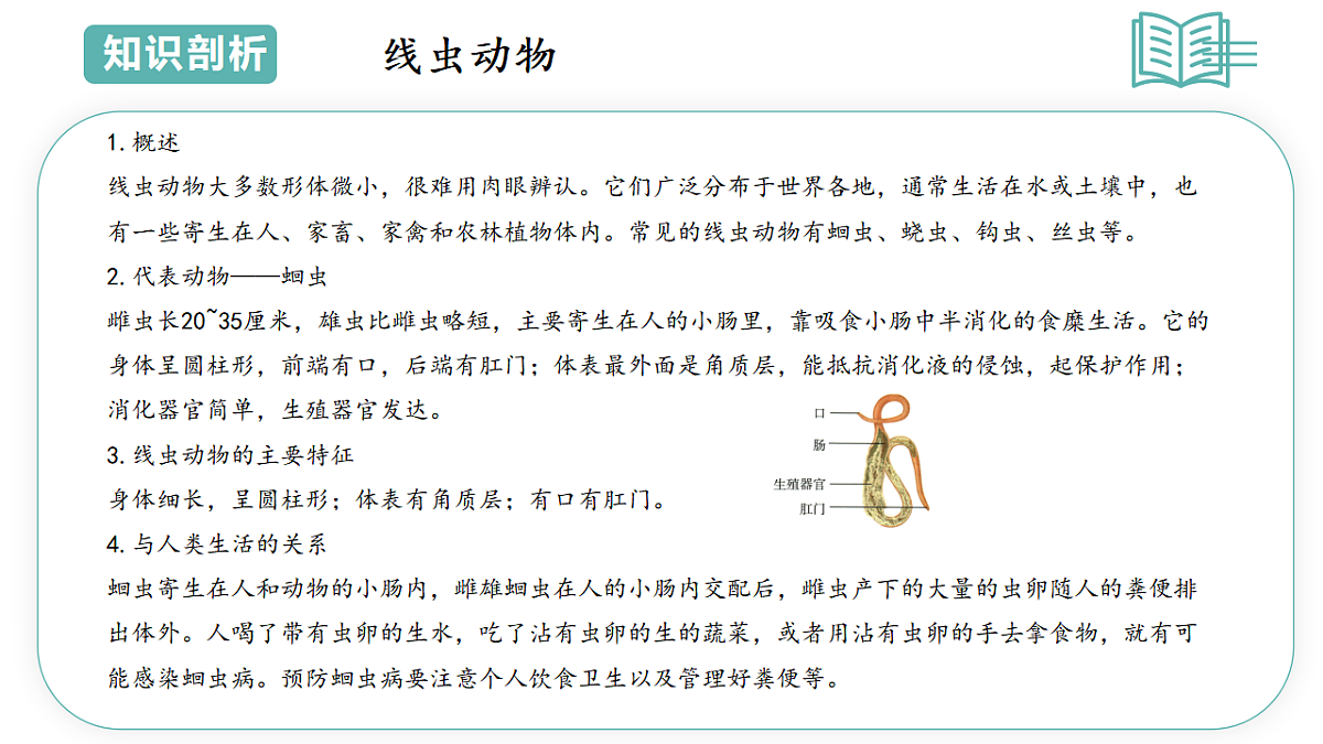17798495第8页