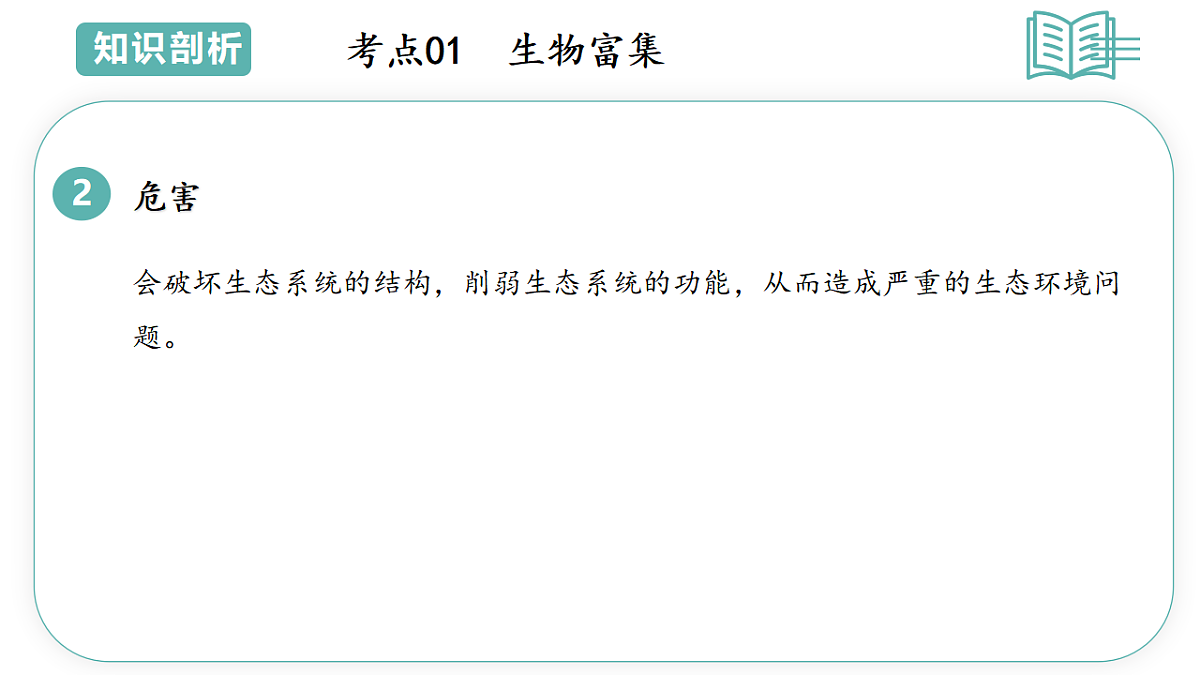 17798554第4页