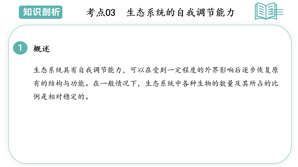 17798554第7页