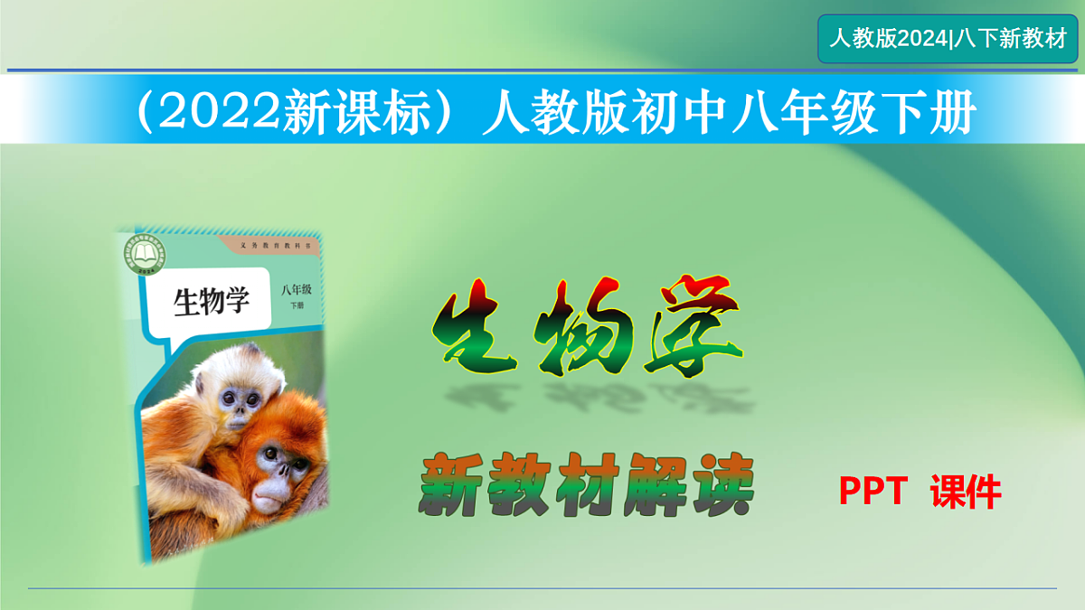 17798566第1页