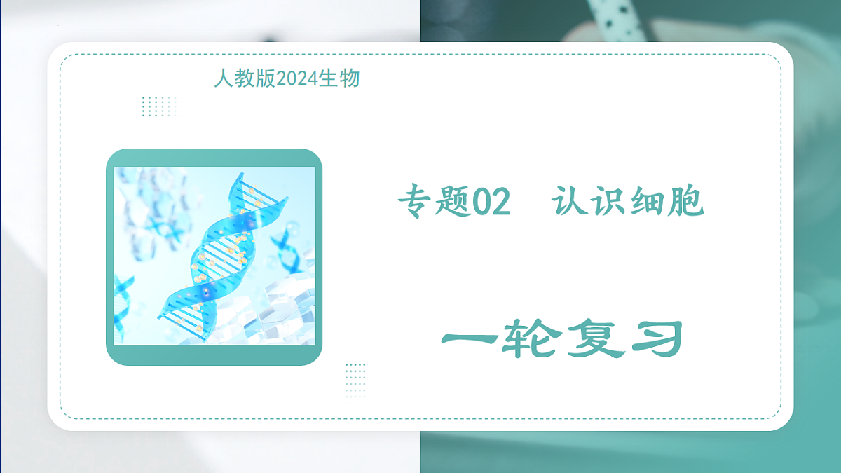 17798567第1页