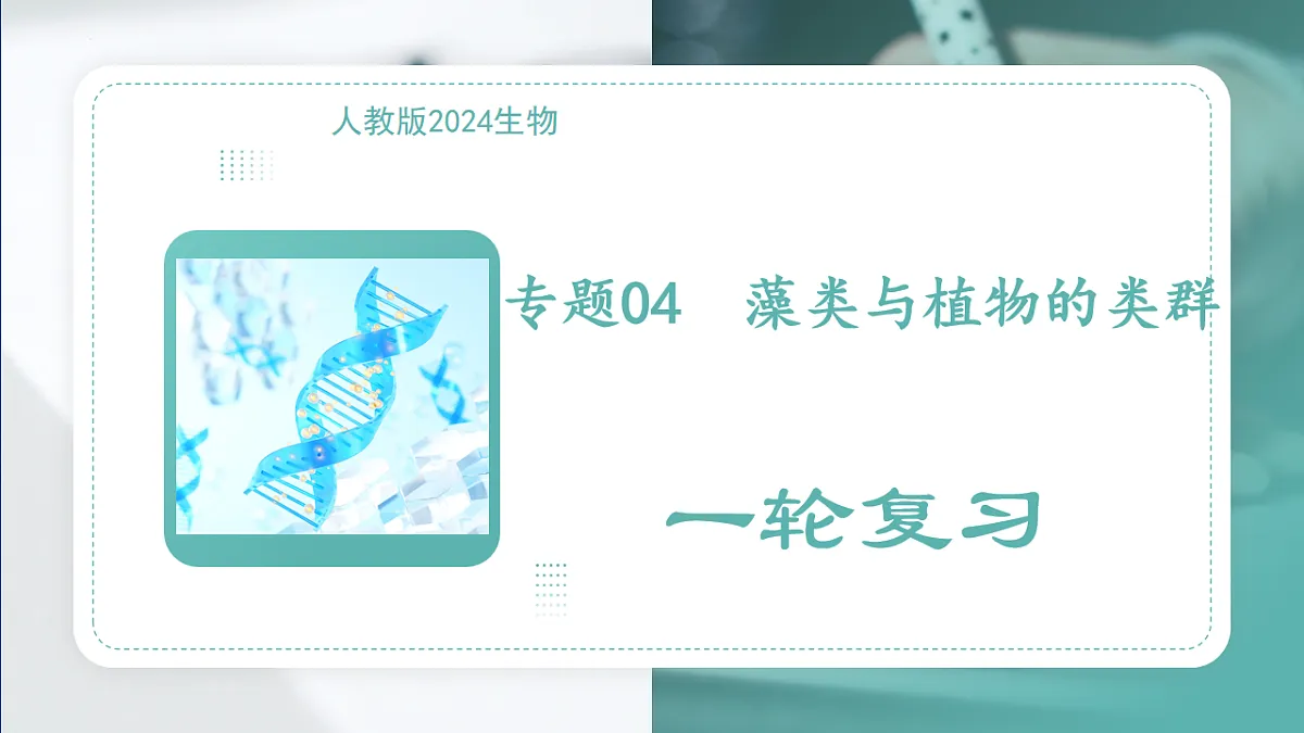 17798568第1页