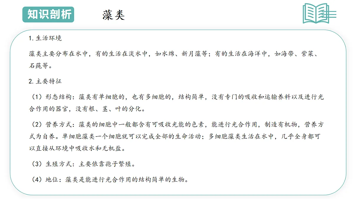 17798568第3页