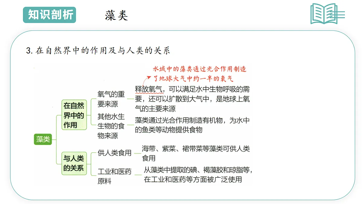 17798568第4页
