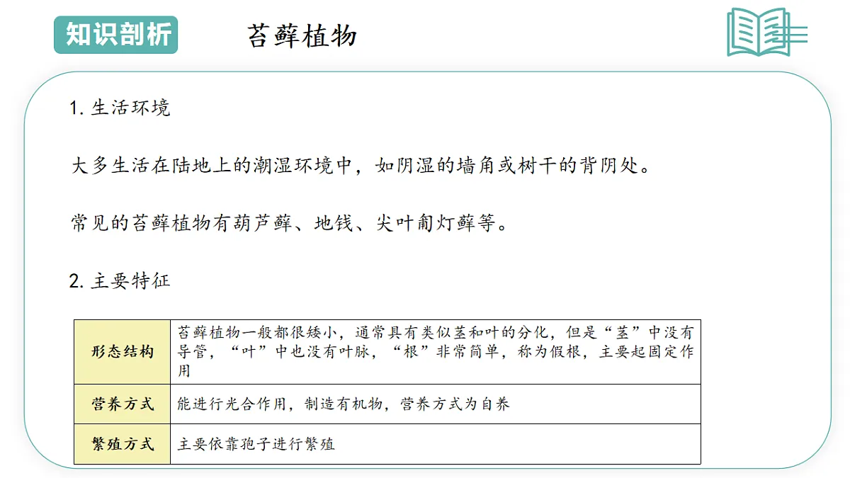 17798568第5页