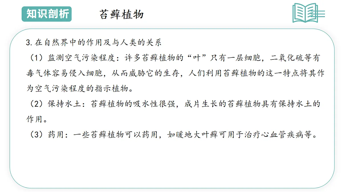 17798568第6页