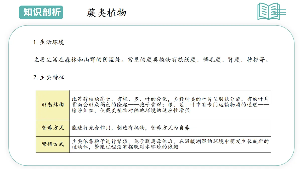 17798568第7页