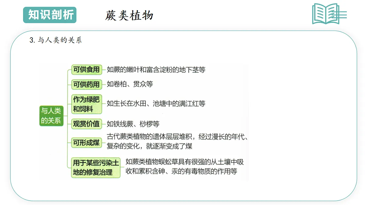 17798568第8页