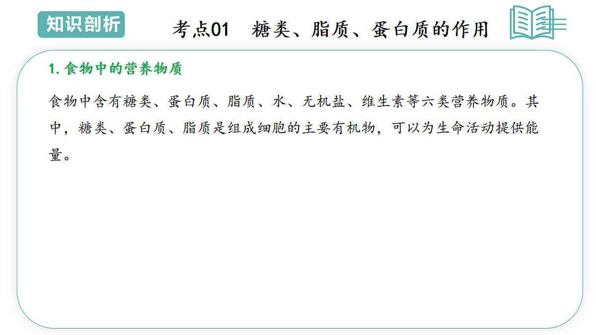 17798571第3页