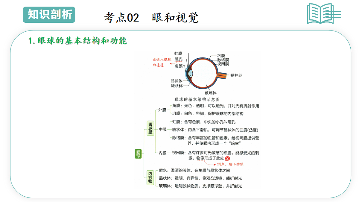 17798573第4页