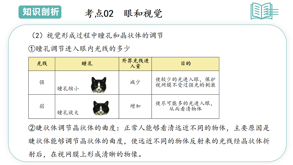17798573第6页