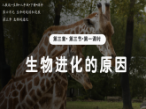 2026年春人教版生物八年级下册 6.3.3 生物进化的原因（课件）