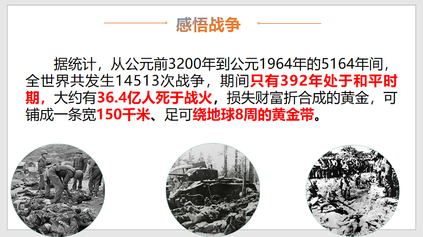 17798665第6页